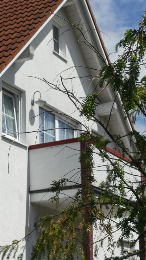 Apartment Mittl